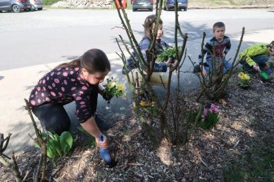 Foto des Albums: Der Frühling kehrt bei uns ein! 2019