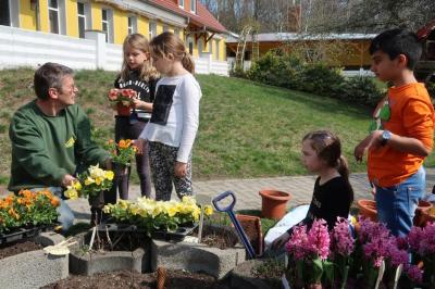 Foto des Albums: Der Frühling kehrt bei uns ein! 2019