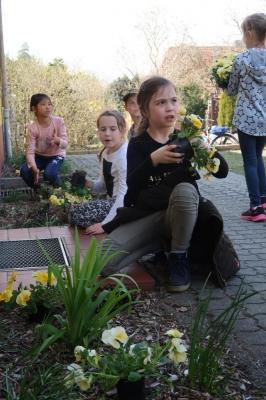Foto des Albums: Der Frühling kehrt bei uns ein! 2019