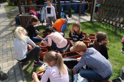 Foto des Albums: Der Frühling kehrt bei uns ein! 2019