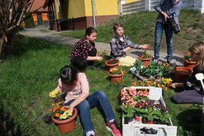 Foto des Albums: Der Frühling kehrt bei uns ein! 2019