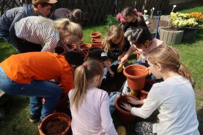 Foto des Albums: Der Frühling kehrt bei uns ein! 2019