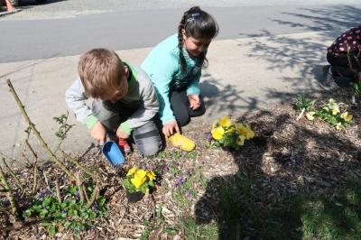 Foto des Albums: Der Frühling kehrt bei uns ein! 2019