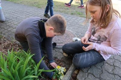 Foto des Albums: Der Frühling kehrt bei uns ein! 2019