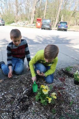 Foto des Albums: Der Frühling kehrt bei uns ein! 2019