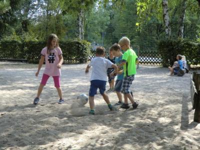 Foto des Albums: Auf unserem Spielplatz ist immer etwas los! 2018