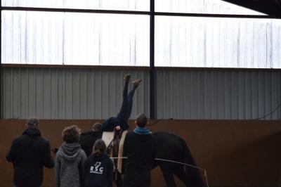 Foto des Albums: Voltilehrgang mit Ole Kock