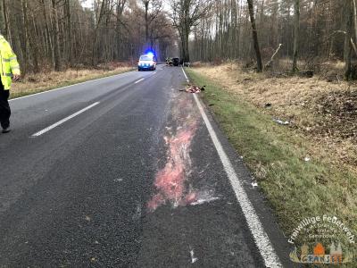 verunreinigte Fahrbahn  