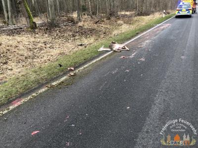 verunreinigte Fahrbahn  