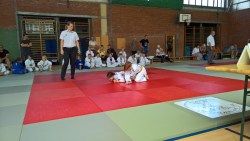 Foto des Albums: Auf Judosafari in Prerow