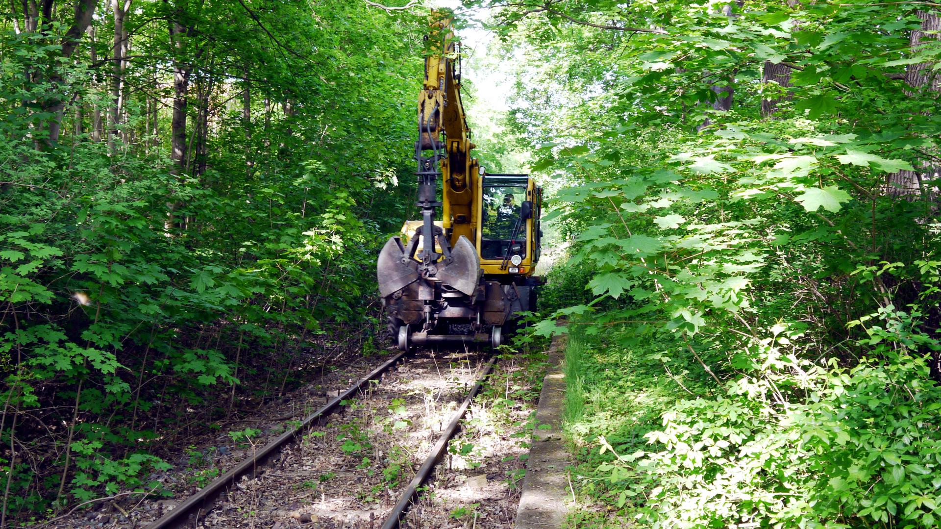 Bild : Rückbau der Bahnstrecke Frose - Quedlinburg