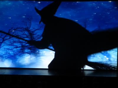 Foto des Albums: AMAZING SHADOWS! Das Schattenspektakel der Extraklasse