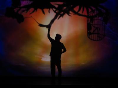 Foto des Albums: AMAZING SHADOWS! Das Schattenspektakel der Extraklasse