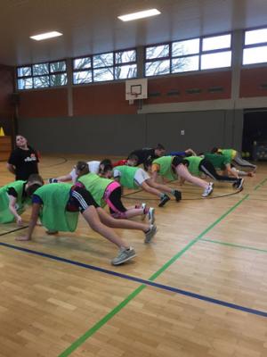 Foto des Albums: Handball: Kooperation mit dem Elmshorner Handball-Team