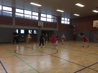 Foto des Albums: Handball: Kooperation mit dem Elmshorner Handball-Team