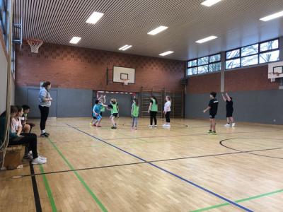 Foto des Albums: Handball: Kooperation mit dem Elmshorner Handball-Team