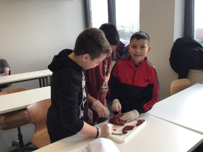Foto des Albums: Nawi-Unterricht mit Hand und "Herz"