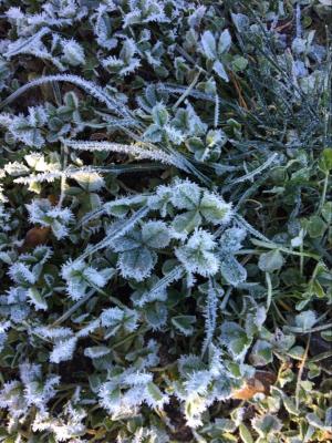 Foto des Albums: Winterspaziergang Klasse 1b