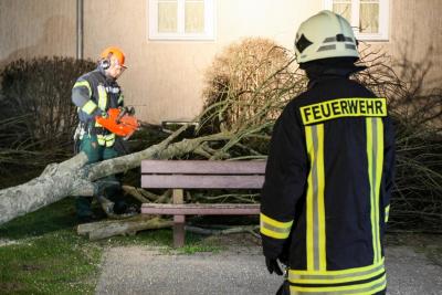Foto des Albums: Einsatz 035/2020 - Baumsperre