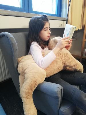 Foto des Albums: Eintauchen in die Welt der Bücher