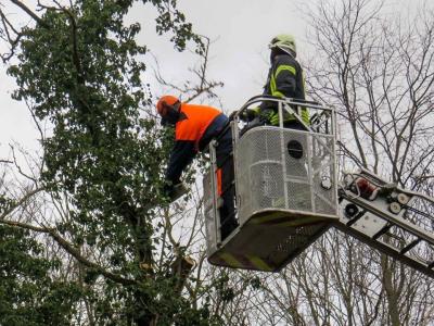 Foto des Albums: Einsatz 044/2020 - Baumsperre
