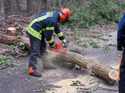 Foto des Albums: Einsatz 044/2020 - Baumsperre