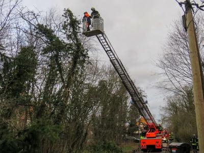 Foto des Albums: Einsatz 044/2020 - Baumsperre