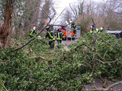 Foto des Albums: Einsatz 044/2020 - Baumsperre