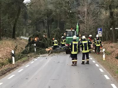 Foto des Albums: Sturmschäden