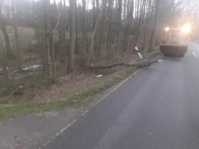 Foto des Albums: Sturmschäden