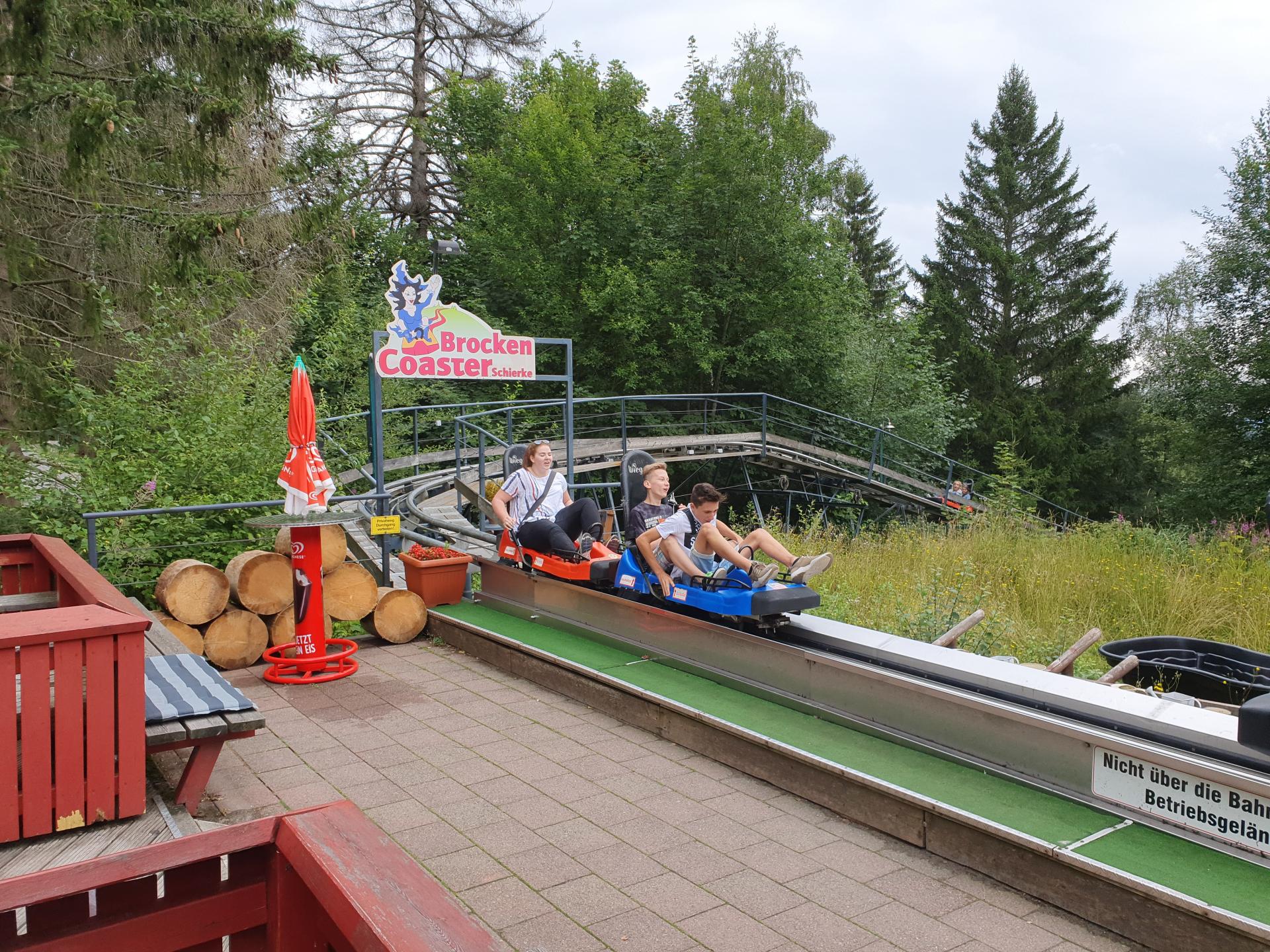 Bild der Galerie