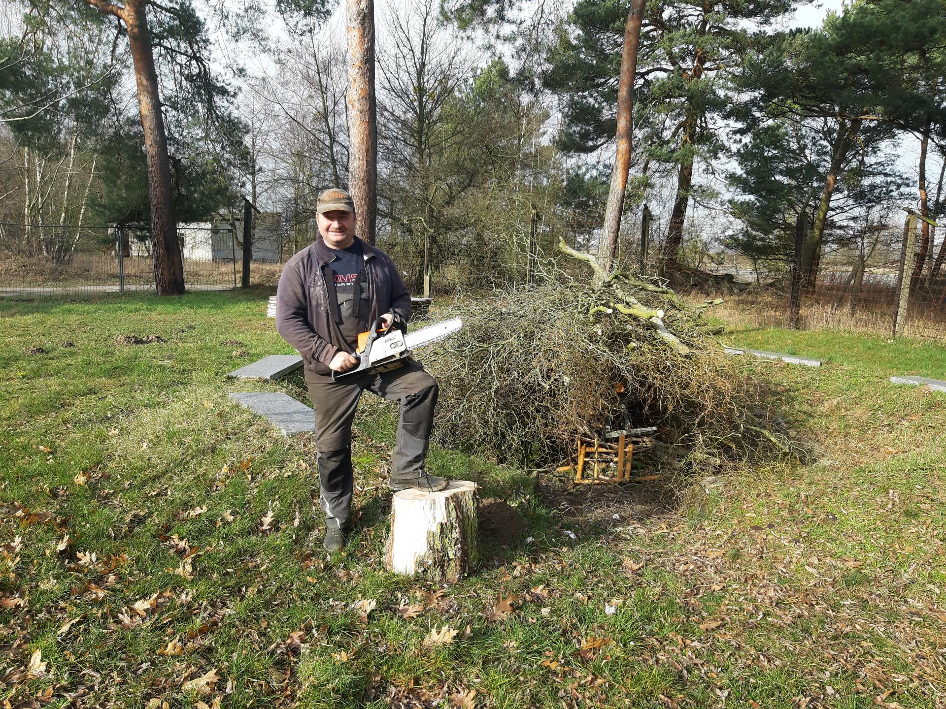 Bild: Mirko - unser Holzfäller - der umgefallene Baum muss weg