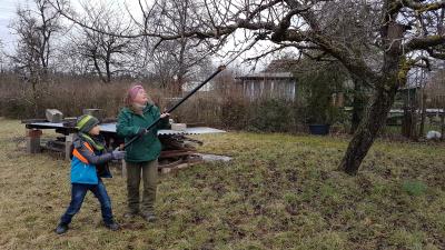 Foto des Albums: Streuobstwiese 13.02.20
