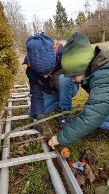 Foto des Albums: Streuobstwiese 13.02.20