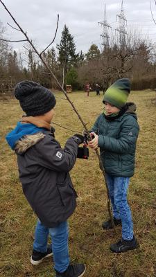 Foto des Albums: Streuobstwiese 13.02.20