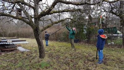 Foto des Albums: Streuobstwiese 13.02.20