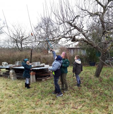 Foto des Albums: Streuobstwiese 13.02.20