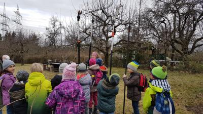 Foto des Albums: Streuobstwiese 13.02.20