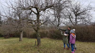 Foto des Albums: Streuobstwiese 13.02.20