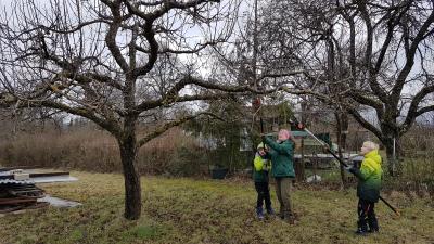 Foto des Albums: Streuobstwiese 13.02.20