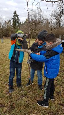 Foto des Albums: Streuobstwiese 13.02.20