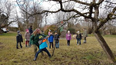 Foto des Albums: Streuobstwiese 13.02.20