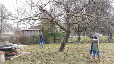 Foto des Albums: Streuobstwiese 13.02.20