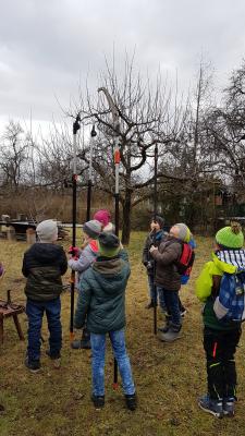 Foto des Albums: Streuobstwiese 13.02.20