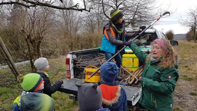 Foto des Albums: Streuobstwiese 13.02.20