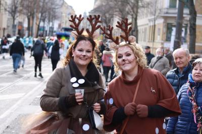 Foto des Albums: Rosenmontagsumzug 2020 in Halle/Saale