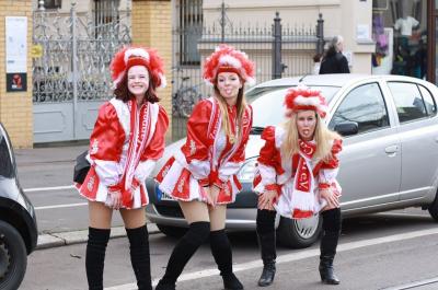 Foto des Albums: Rosenmontagsumzug 2020 in Halle/Saale