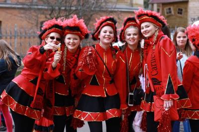 Foto des Albums: Rosenmontagsumzug 2020 in Halle/Saale