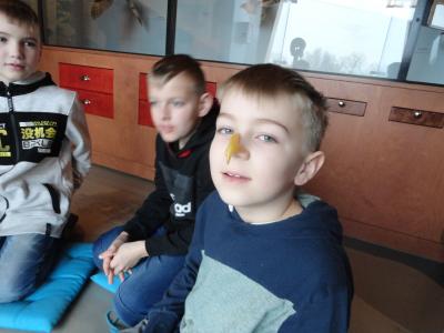 Foto des Albums: Besuch im Müritzeum