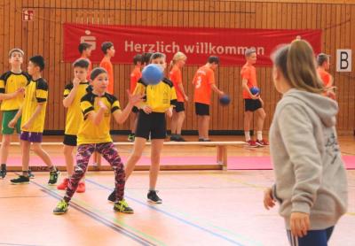 Foto des Albums: Zweifelderball "Jugend trainiert für Olympia"